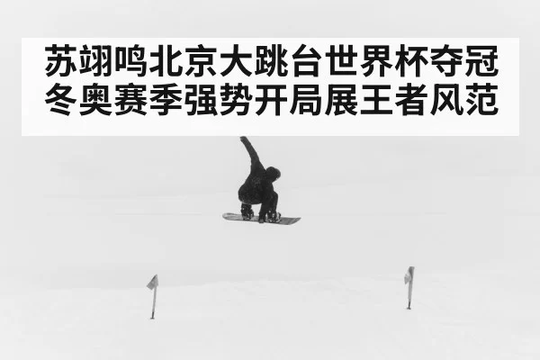 苏翊鸣北京大跳台世界杯夺冠 冬奥赛季强势开局展王者风范