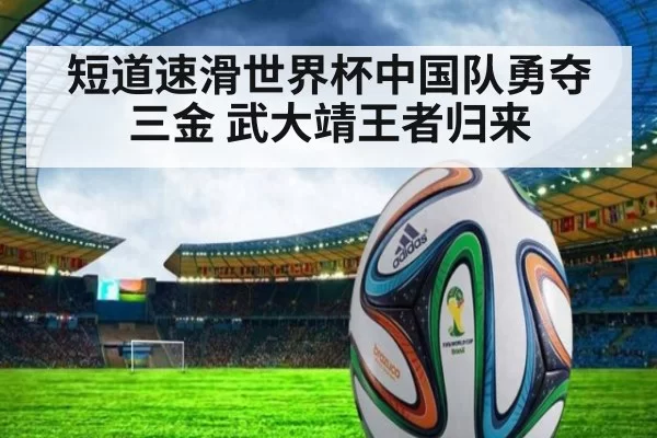 短道速滑世界杯中国队勇夺三金 武大靖王者归来